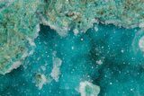 Stunning Druzy Quartz on Chrysocolla - DR Congo #347447-1